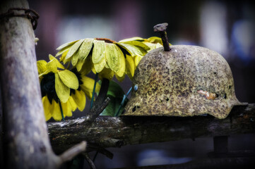 helmet on the street
