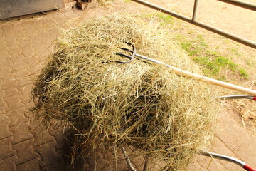 a wheelbarrow loaded with hay © maho