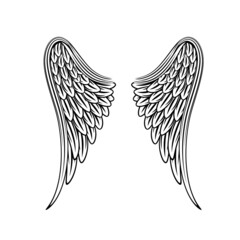 beautiful bright color illustration of black and white wings on the background