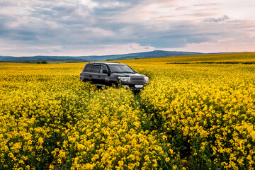 a black car is driving across the rape field - Powered by Adobe