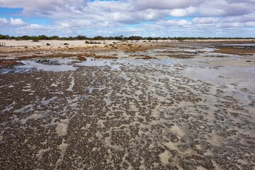 The shallow waters near stromatolities structures in a sea in Hamelin Pool Marine Nature Reserve in Shark Bay, WA