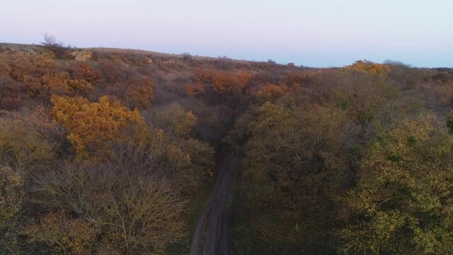 Flight in the evening over the forest and forest road