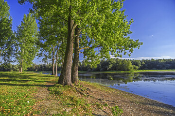 Spring landscape with trees, river and blue sky
