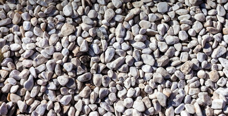 White pebbles close-up in spring (Background, Banner, Wallpaper)