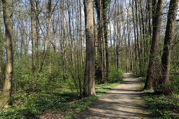 Park und Wald am Bach Aue - Park and forest by the Aue brook