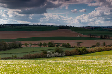 A dramatic cloudscape above the rolling hills covered with wild flowers in the South of Limburg in the Netherlands. The colourful landscape is split by winding roads and small paths.