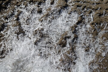 Ice floes. Melting crushed ice on the wet ground. Spring melting of snow and ice. Close-up.
