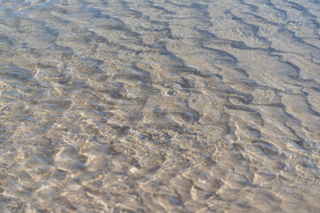 Wellenmuster / Rippelmarken (Rippel) am Meeresboden der Ostsee 