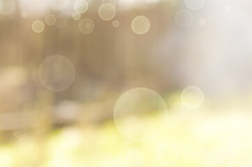 blurred summer-spring light green background with bokeh elements
