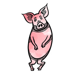 Hand drawing standing pig watercolor vector illustration