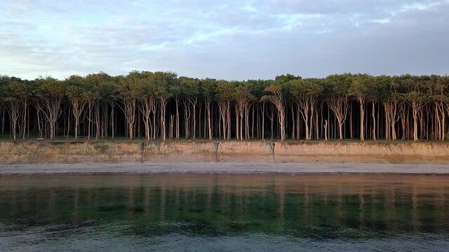 Spiegelnder K&uuml;stenwald Nienhagen Gespensterwald an der deutschen Ostseek&uuml;ste zum Sonnenaufgang