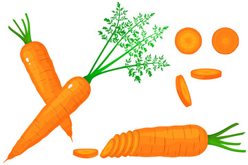 Bright vector set of colorful half, slice and whole of carrot. Fresh cartoon vegetable isolated on white background. Illustration used for magazine, book, poster, card, menu cover, web pages.