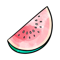 Fruit slice hand drawn watermelon or melon watercolor vector illustration