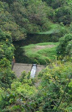 Tan Shan River, Hok Tau, Hong Kong