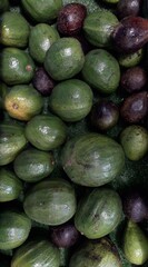 avocado is sold in the market
