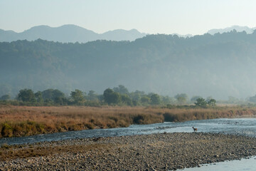 scenic landscape view of Ramganga River and mountains at dhikala zone of corbett national park or tiger reserve uttarakhand india