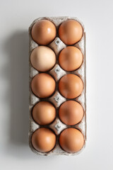 Brown chicken eggs in cardboard box