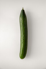 One whole cucumber on white background, view from top