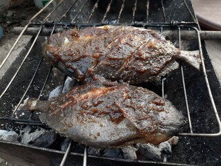 grilled fish on wood charcoal, and covered with soy sauce to produce a smoky aroma, a photo suitable for seafood sales