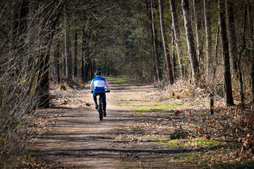 a mountanbiker cycles through the forest