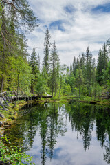 Fototapeta na wymiar View of The Pyha-Luosto National Park in summer, trees, wooden walkway and natural pond, Lapland, Finland