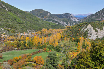 Gorgeous forest near Biniés, Aragonese pyrenees, Huesca province, Spain
