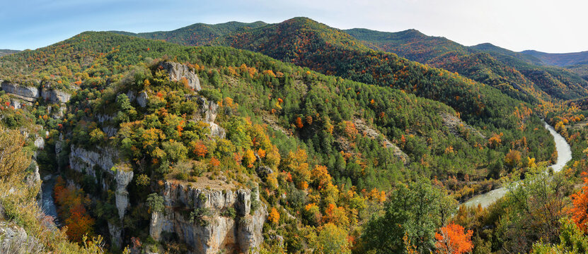 Gorgeous forest near Ans&oacute;, Aragonese pyrenees, Huesca province, Spain