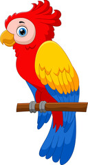 cute parrot cartoon pose