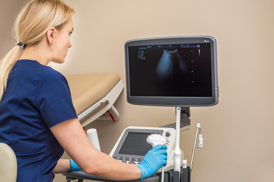 gynecologist makes an ultrasound of the pelvic organs.