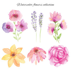 Watercolor hand draw flowers set
