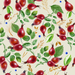 Watercolor illustration, pattern. Berries on white background. Raspberries, raspberries on a twig, pink spots.