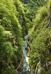 Tolminka river in Tolminska Korita - Tolmin Gorge. Slovenia