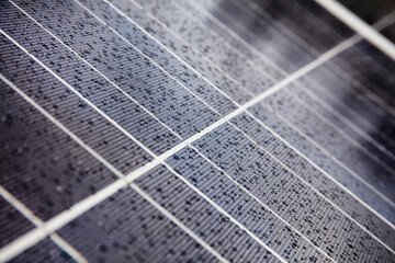 PV Solar Module und Regentropfen - obrazy, fototapety, plakaty