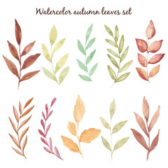 Fototapeta na wymiar Watercolor autumn hand draw leaves