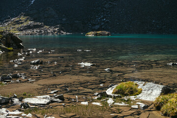 Sunny beautiful scenery with mosses and grasses on stones near water edge of mountain lake in sunlight. Scenic landscape with mountain flora near edge of glacial lake. Clear water of glacier lake.