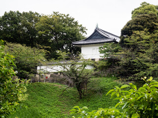 Fototapeta na wymiar View of the white tower of former Edo castle across Ushigafuchi moat in summer - Tokyo, Japan