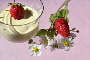 Strawberries, strawberry flowers and a cup of sour cream.