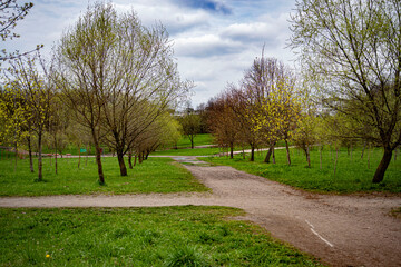 crossroad in the park