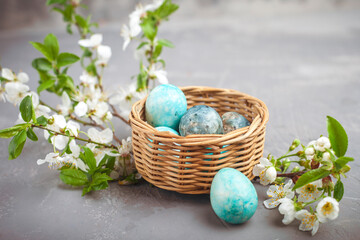Easter colored eggs in a nest made of hay on a blue background. Seasonality concept, spring, postcard, holiday. Flat lay, copy space, space for text. Close-up.