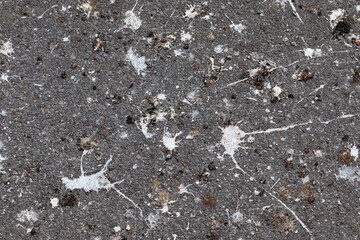 Lots of bird poop on asphalt concrete road background.