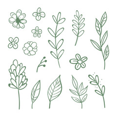Flowers and leaves doodle collection. Hand drawn floral ornaments. Decorative plants illustrations.