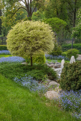 City park in Rajecke Teplice. Slovakia