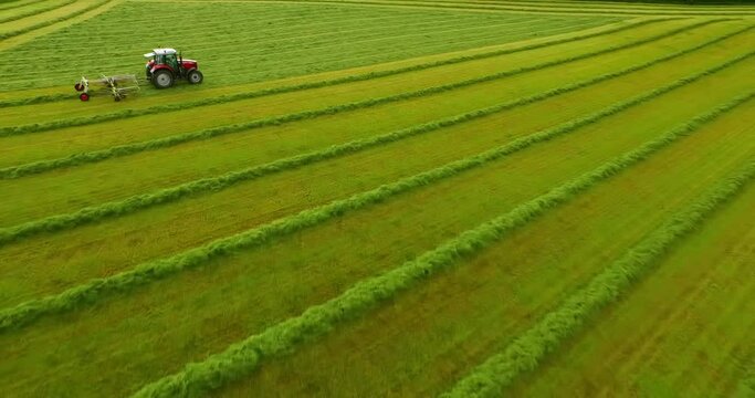 Aerial Panning Low Over A Tractor As It Harvests A Crop, With Lush Green Fields And Rows Of Plants - Isle of Tiree, United Kingdom