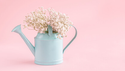 Watering can with white flowers on pink background.