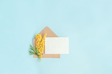 Greeting card and yellow mimosa flowers on blue background with copy space. Spring or summer holidays concept.