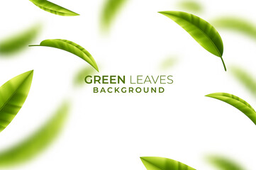 Vector 3d illustration with green tea leaves in motion on a white background