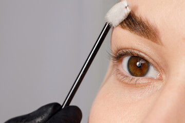 Styling and lamination of eyebrows. Woman doing eyebrow permanent makeup correction. Female tweezing her eyebrows. Makeup artist combs and plucks eyebrows after dyeing in a beauty salon. - obrazy, fototapety, plakaty