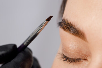 Master applies brow paste with a brush to eyebrows. Styling and lamination of eyebrows. Woman doing...