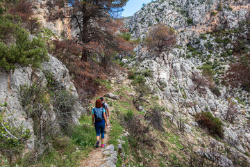 Couple of hikers walking along the path of a Mediterranean forest. 