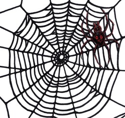 Obraz premium The Web drawing is made with a black marker and a black liner